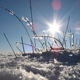 Winter Breeze (Prinzessin aus dem Eis Edit)