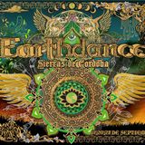 DJ Jowe Live@Earthdance Argentina 2014