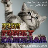 Fun Funky Familiar