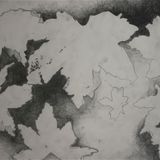 Rhythm Leaves