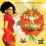 Mr. Bruckshut - "Nan A Dem Riddim (2014) Mix"