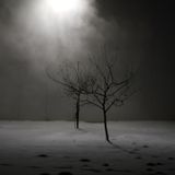 Lucid Dreaming 4
