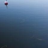 Visiting Water