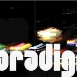 Paradigm 051