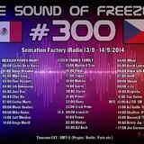 Inerte guestmix - The Sound Of Freezer 300
