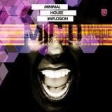 DJ MiC D "The minimal House implosion"
