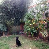 30 min. misty morning soul mix