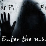 Agnes P. & XeraZ - Enter the Unknown MiX