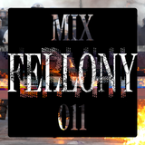 LVLSRVRYHI-011: Fellony