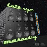 LATE NIGHT MARAUDING WITH LIVING~STONE