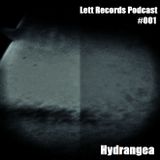 Lett Records Podcast #001 - Hydrangea