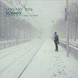 SCHAED JANUARY 2016