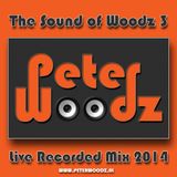 The Sound of Woodz 3