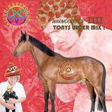 WARMDUSCHER : Mixtape IIII The Tonys Ulcer Mix
