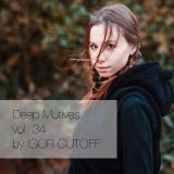 Deep Motives vol. 34