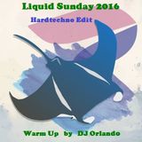 Liquid Sunday 2016 Warm Up Mix by DJ Orlando (Hardtechno Edit)