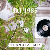 DJ 1985 — TESNOTA MIX #21