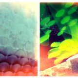 April - Spring