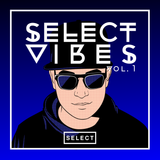 Select Vibes Vol. 1