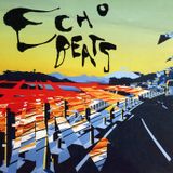 ECHO BEATS.DJ ERAZE