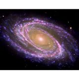 Spiral Arms