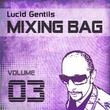 Reversal Feeble :: Lucid Gentil in the Mix 2011-06-22