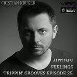 Trippin' Grooves Ep. 25 - Autumn Feelings - Live @ VibeFM Romania on 12.10.2013