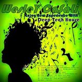WesLey CaSaLi - Enjoy New Experience With Deep Tech House - May 2013