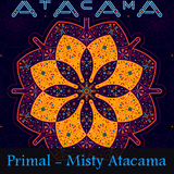 Primal - Misty Atacama (live @ INQbator Klub, Katowice 06-02-2016)