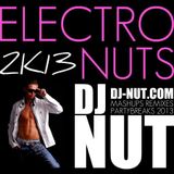 ELECTRO NUTS 2K13 MIXTAPE (DJ NUT REMIXES ONLY)
