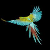 "Freiflug 001" mixed by Claus Neuefeind 17.03.2014