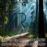 Indical Wood's - AIR Vibez Guest Mix 16.11.15 (live rec.)