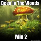 Deep In The Woods Mix 2 (Techno / Tech House Mix)