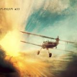 Flegma #33