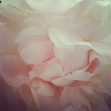 Mix_20120617