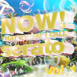 Now That's What I Call Serato vol.1