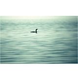 Mix CALMA E.P. by Ann Grace