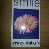 Crazy Daisys - Magic Roundabout 38