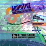 Audiotive Wahrnehmung