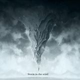 Storm in The Wind