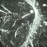 Halphology pt1