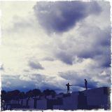 Calico skies