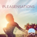 Pleasensations Vol. 1