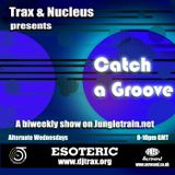 Dj Trax and Nucleus - Catch A Groove 12 Jungletrain 13.06.12