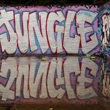 Into_The_Jungle (Series C #130) 2am - 3am Session
