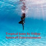 Tropical House mix by Vidjay ( @Spinwellent )