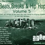 BEATS, BREAKS AND HIP HOP - Volume 5. The 80's Soul edt