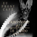 Experience #15: In Limbo (reprise)