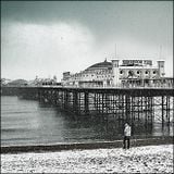 Put The Palace Back in the Pier