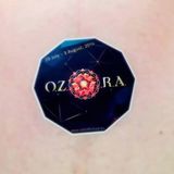 "In-full-swing" DJ-set, recorded live from 2014@ Ozora festival mainstage